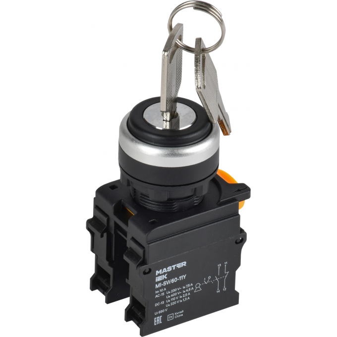 Переключатель с ключом на 2 положения IEK MASTER 1NO+1NC чёрный MI-SW60-11Y-3-34-2-K02